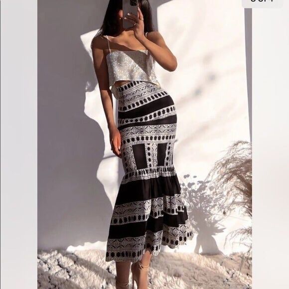 ZARA EMBROIDERED MIDI SKIRT - Picture 8 of 11